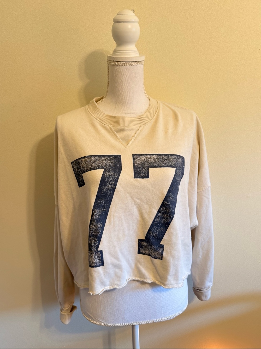 American Eagle Seriously Lived In 77 Crewneck